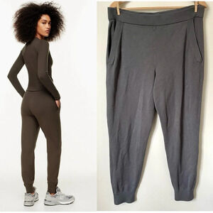 Aritzia Babaton Rodin Jogger  Grey